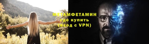 прущие грибы Лиски