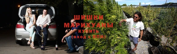прущий лед Майский