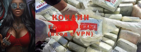 прущие грибы Лиски