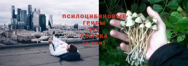 твердый Липки