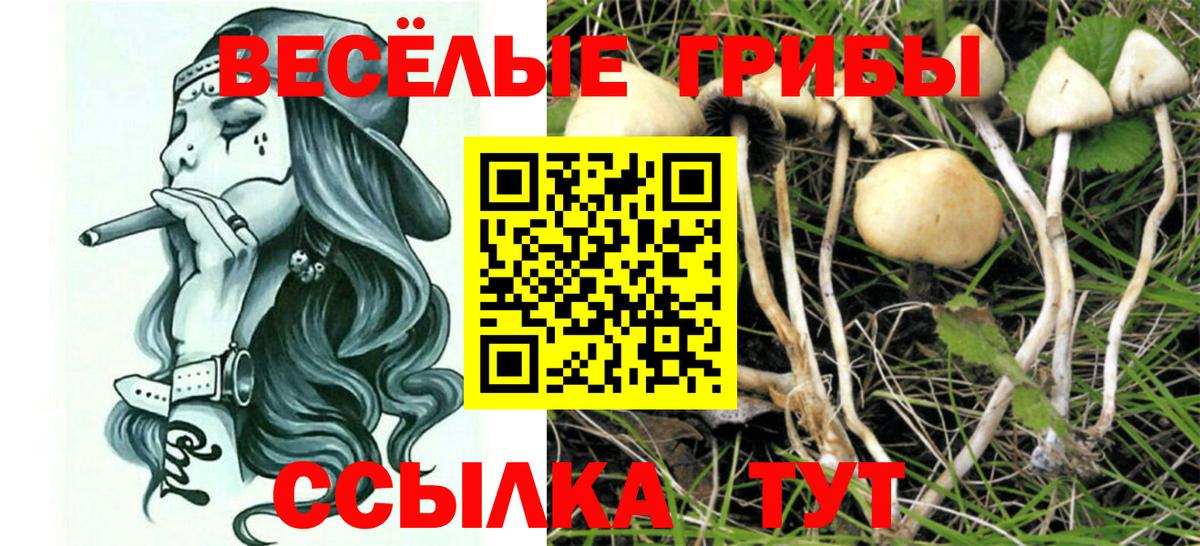 Златоуст  Галлюциногенные грибы Magic Shrooms  Вход с VPN 