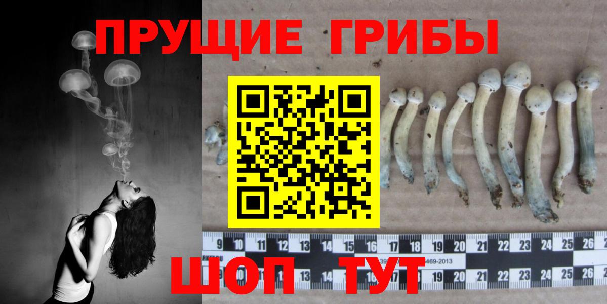 Галлюциногенные грибы Cubensis Златоуст